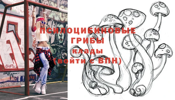 ПСИЛОЦИБИНОВЫЕ ГРИБЫ Арсеньев