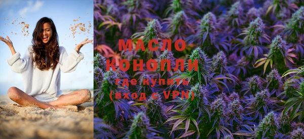 дмт Дмитров