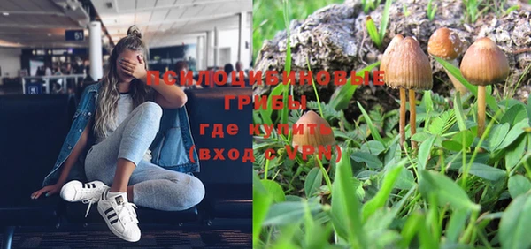 ПСИЛОЦИБИНОВЫЕ ГРИБЫ Арсеньев