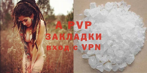 шишки Баксан